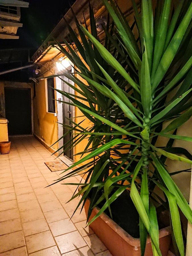 siculi central apartment CTA Exterior foto